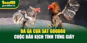 Đá Gà Cựa Sắt Good88 – Cuộc Đấu Kịch Tính Từng Giây