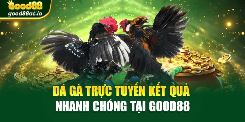 Đá gà trực tuyến kết quả nhanh chóng tại Good88