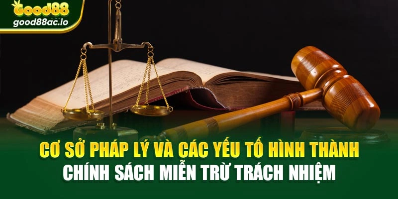 Hình minh họa cơ sở pháp lý và các yếu tố hình thành chính sách miễn trừ trách nhiệm