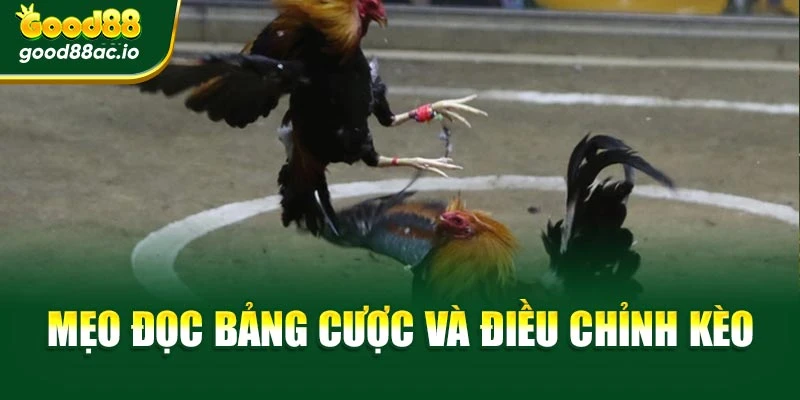 Mẹo đọc bảng cược và điều chỉnh kèo