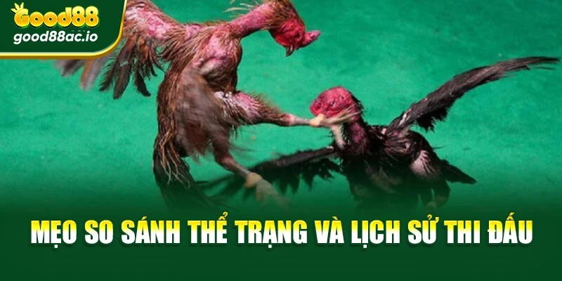 Mẹo so sánh thể trạng và lịch sử thi đấu