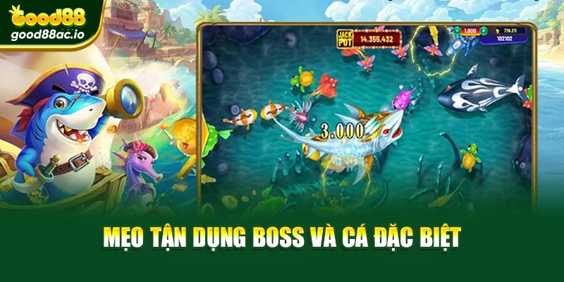 Mẹo tận dụng Boss và cá đặc biệt
