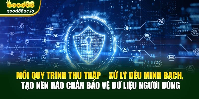 Mỗi quy trình thu thập – xử lý đều minh bạch, tạo nên rào chắn bảo vệ dữ liệu người dùng