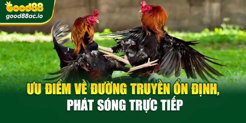 Ưu điểm về đường truyền ổn định, phát sóng trực tiếp
